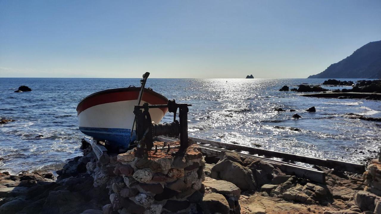 Les Bois Flottes . Plage De La Verne La Seyne-sur-Mer Eksteriør billede