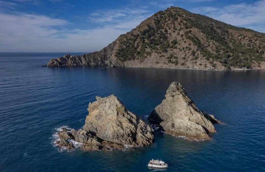 Les Bois Flottes . Plage De La Verne La Seyne-sur-Mer Eksteriør billede