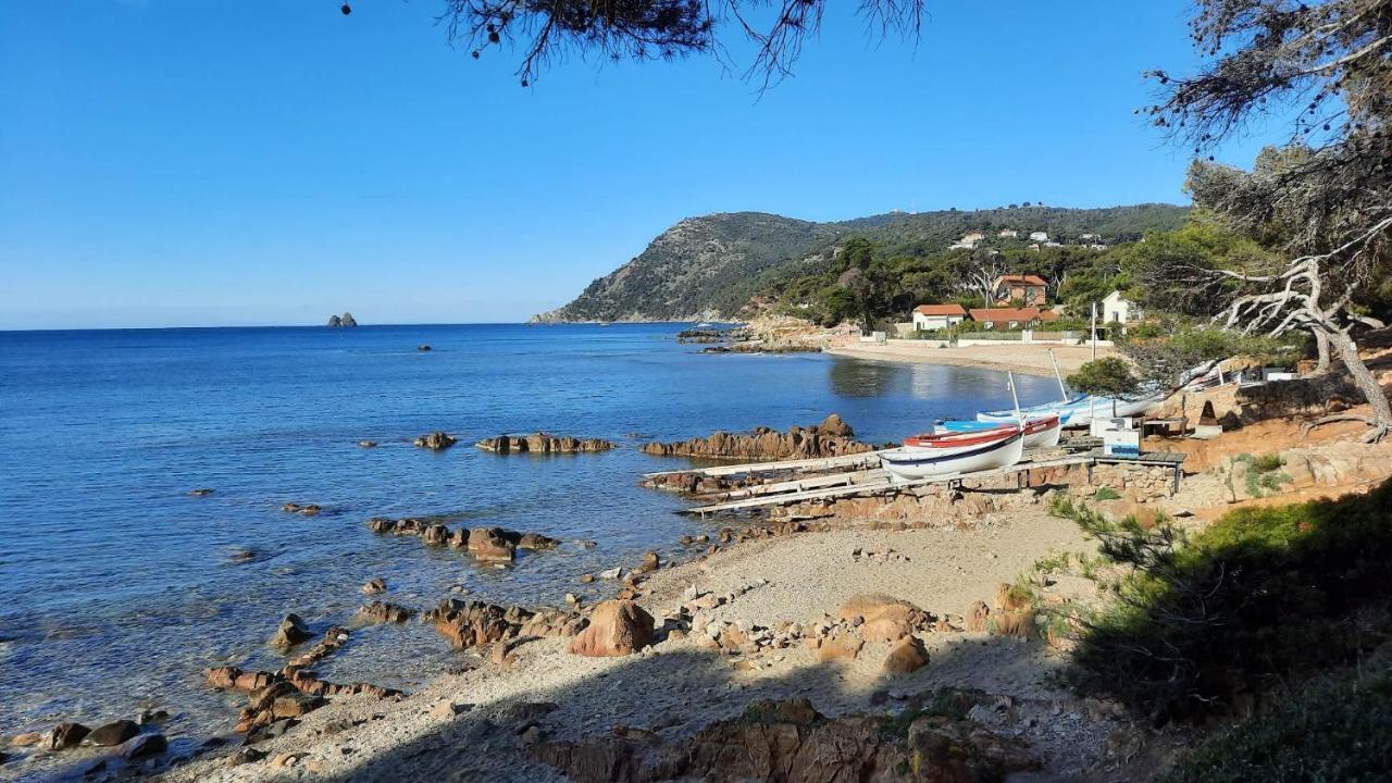 Les Bois Flottes . Plage De La Verne La Seyne-sur-Mer Eksteriør billede
